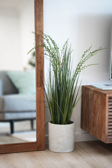 Maize-street-investor-duplex - Rob Tate Family Homes