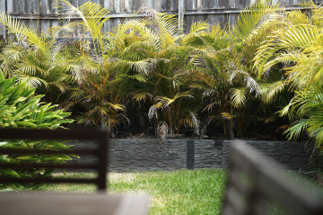 York-street-display-home-for-sale - Rob Tate Family Homes